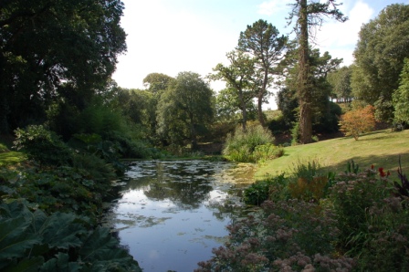 Tregothnan